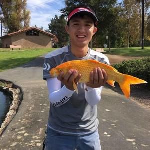 Meet your Posher, Yupeng